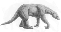 Late Pleistocene Megafauna